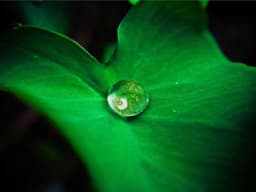 Barely Used 3BHK Flat Gated Community #1633 - image 2