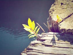 Entry-Level Security Guard #1656 - image 2