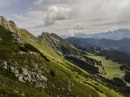 Quality IKEA Shelving Unit #1662 - image 2