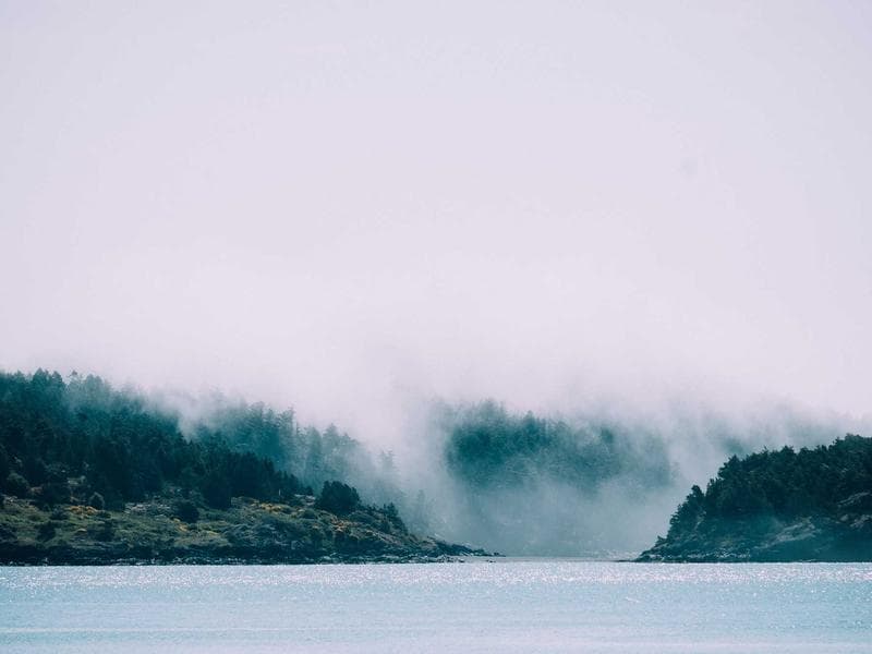 Professional Villa 4 Bedrooms #1665