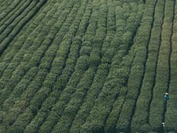 Vintage Kayak #1690 - image 1