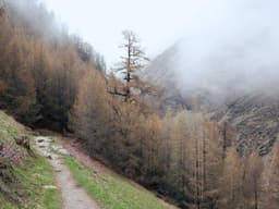 High-End Data Entry #1699 - image 2