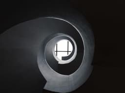 Professional Sales Executive #1711 - image 2