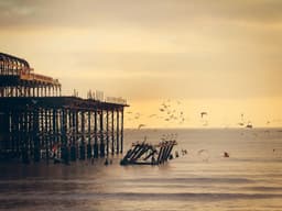 Lost Cat — Orange Tabby #183 - image 1