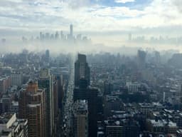 Vintage Lost Cat #1717 - image 2