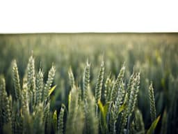 Durable Weight Set #1727 - image 2