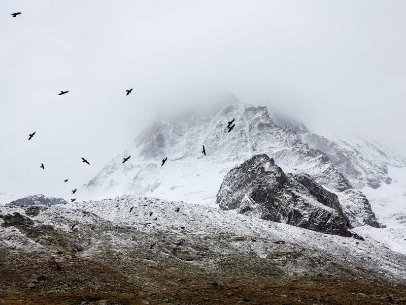 Best-Selling LEGO Set #1728