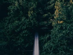 Quality Co-working Desk #1731 - image 1