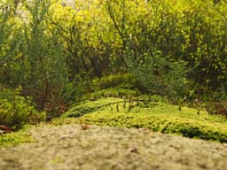 Custom House Painting #1754 - image 2