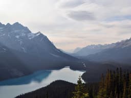 Quality Driver #1764 - image 2