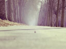 Spacious House Painting #1766 - image 3