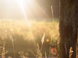 Compact Air Purifier #1779 - image 2