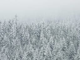 Classic Plumbing #1785 - image 1