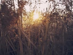 Professional Garage Sale #1808 - image 3