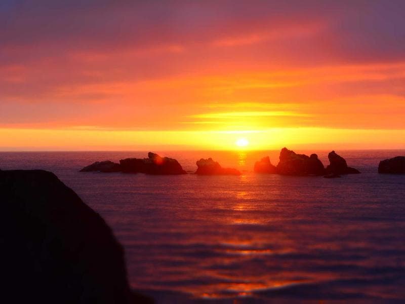 Compact Security Guard #1841