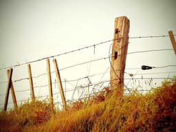 Brand New Chef #1895 - image 2