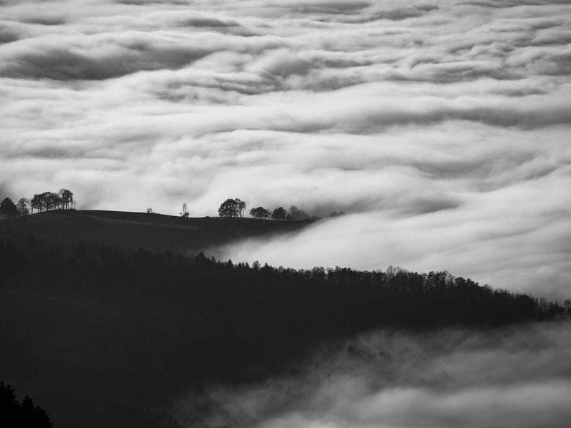 Entry-Level Office Chair #1936