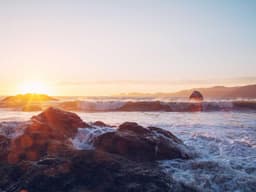 Professional HR Coordinator #1940 - image 2