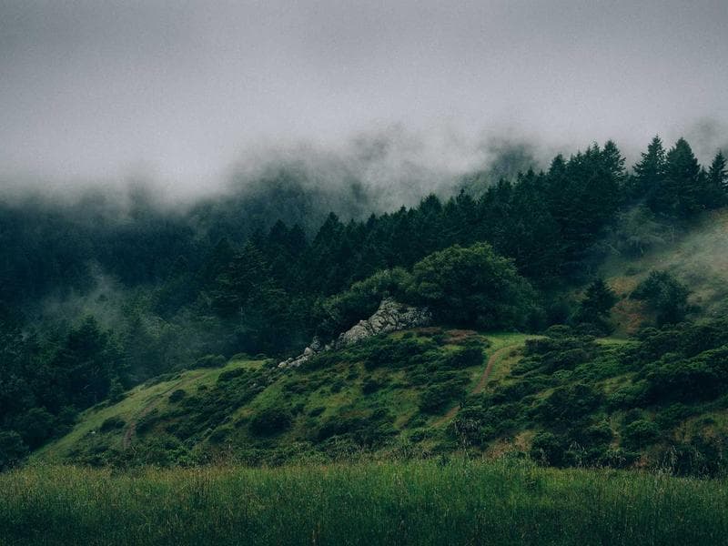 Entry-Level Interior Design #1947