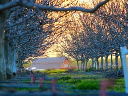 Stylish Catering #1958 - image 2