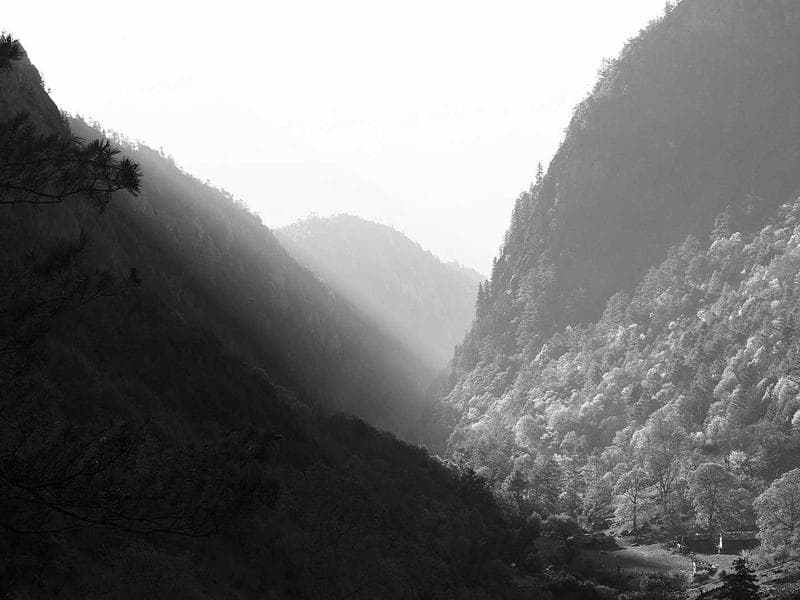 Refurbished Samsung Galaxy S24 #1982