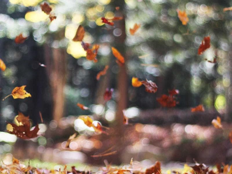 Like New MacBook Pro M3 #2022