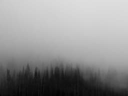 Modern Bookshelf #2029 - image 1