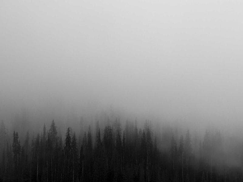 Modern Bookshelf #2029