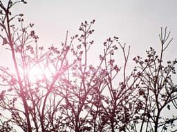 Best-Selling Senior Software Engineer #2034 - image 3