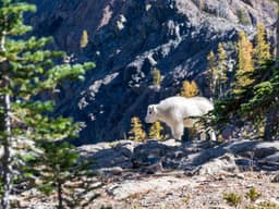 Excellent Nintendo Switch OLED #2065 - image 2