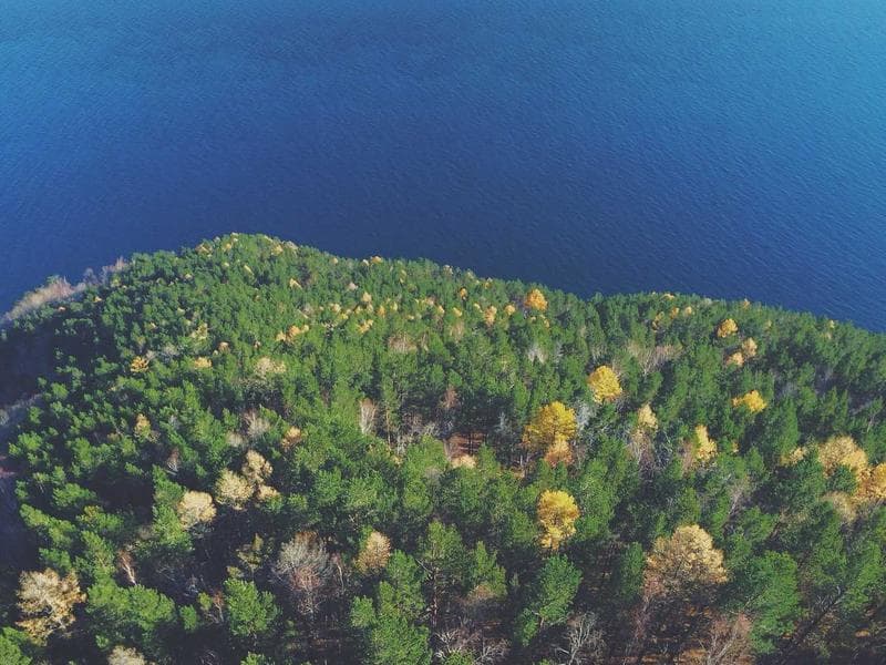 Portable Photography #2069