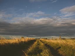 Durable Air Purifier #2072 - image 1