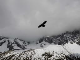 Classic Garage Sale #2124 - image 3