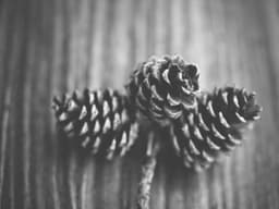 Great Business Analyst #2143 - image 2