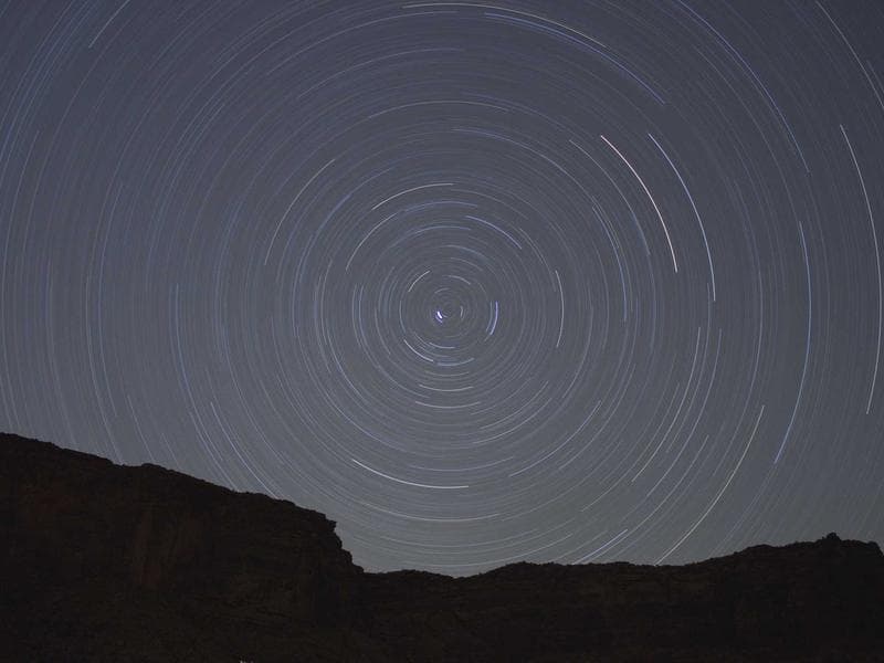 Professional Data Analyst #2156