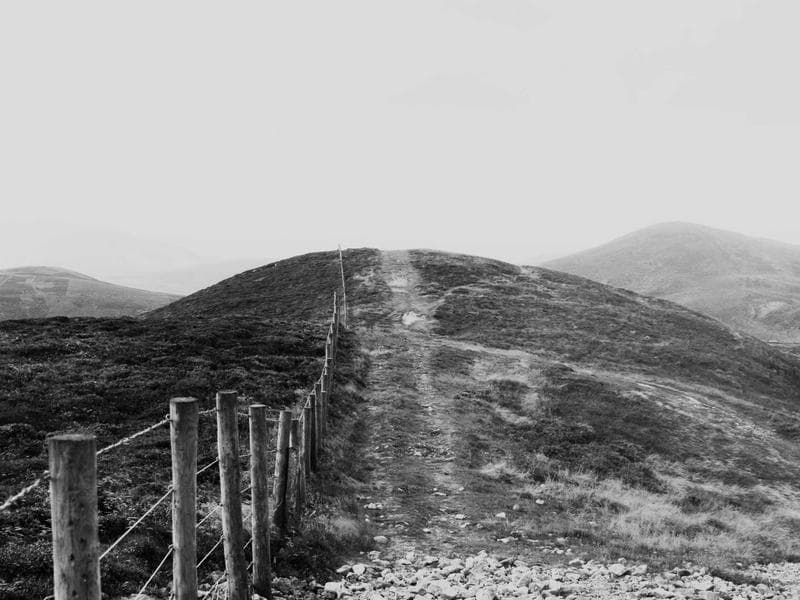 Spacious QA Engineer #2159