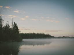 Limited Edition Product Manager #2160 - image 2