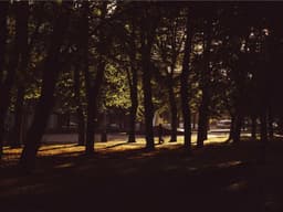 Entry-Level Project Manager #2168 - image 3