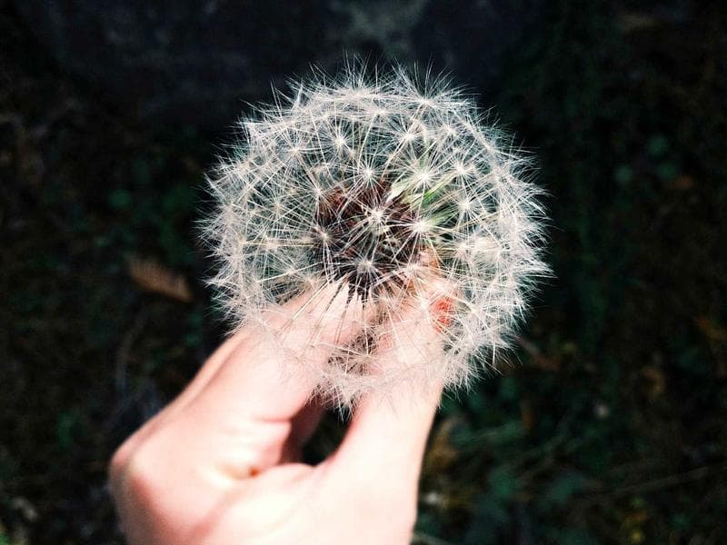 Brand New Sales Executive #2173