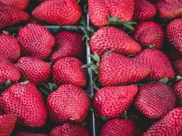 Vespa Scooter — 125cc #24 - image 1