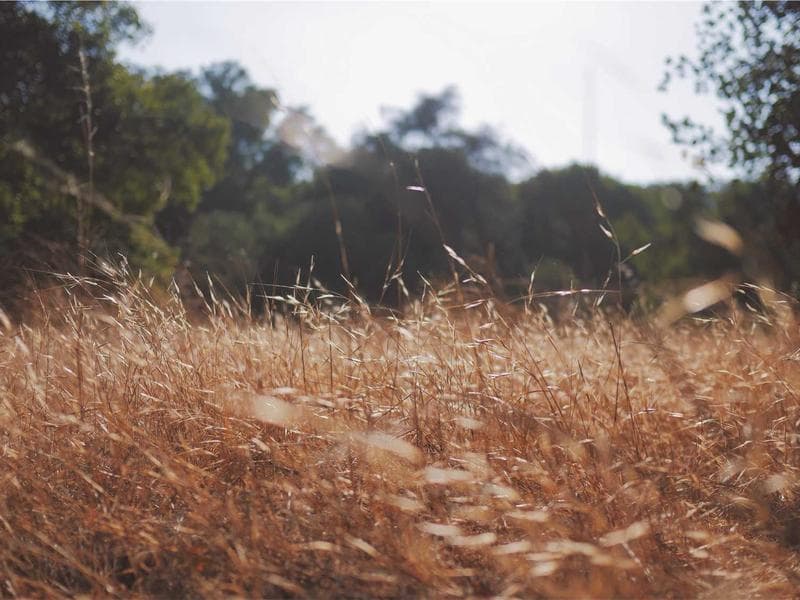 Trek Mountain Bike — 29er #231