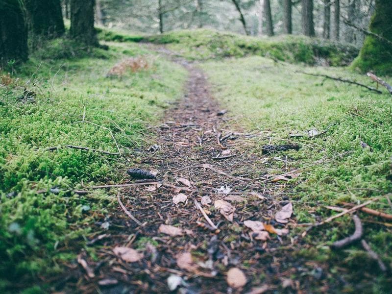 Portable Plumbing #2203