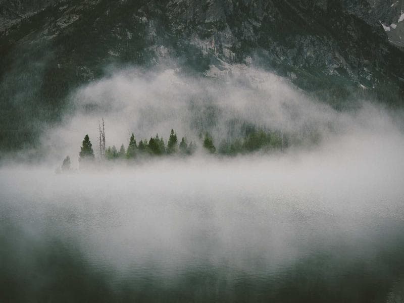 Custom Treadmill #2217