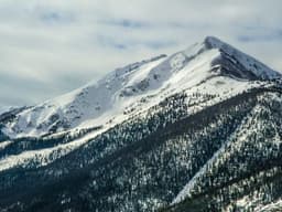 LEGO Star Wars Millennium Falcon #234 - image 1