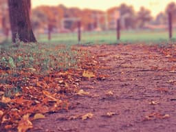 LEGO Star Wars Millennium Falcon #234 - image 3