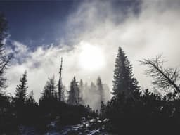 Top-Rated Car Wash #2237 - image 3