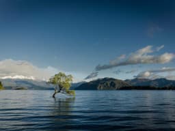 Senior Software Engineer — Remote #236 - image 1