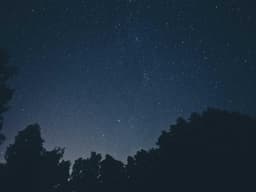 Reliable Dyson Vacuum #2263 - image 1