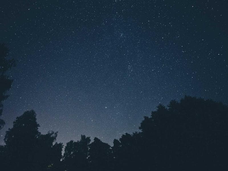 Reliable Dyson Vacuum #2263