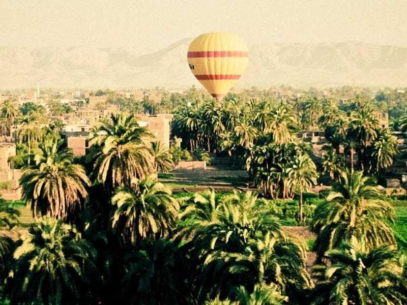 Quality Instant Pot #2264